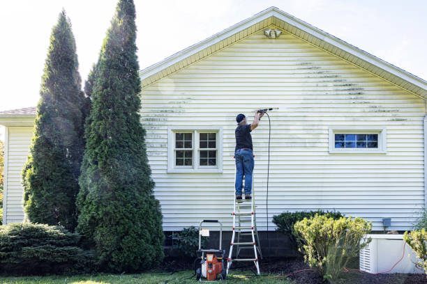 Professional Pressure Washing Services in Ringgold, LA